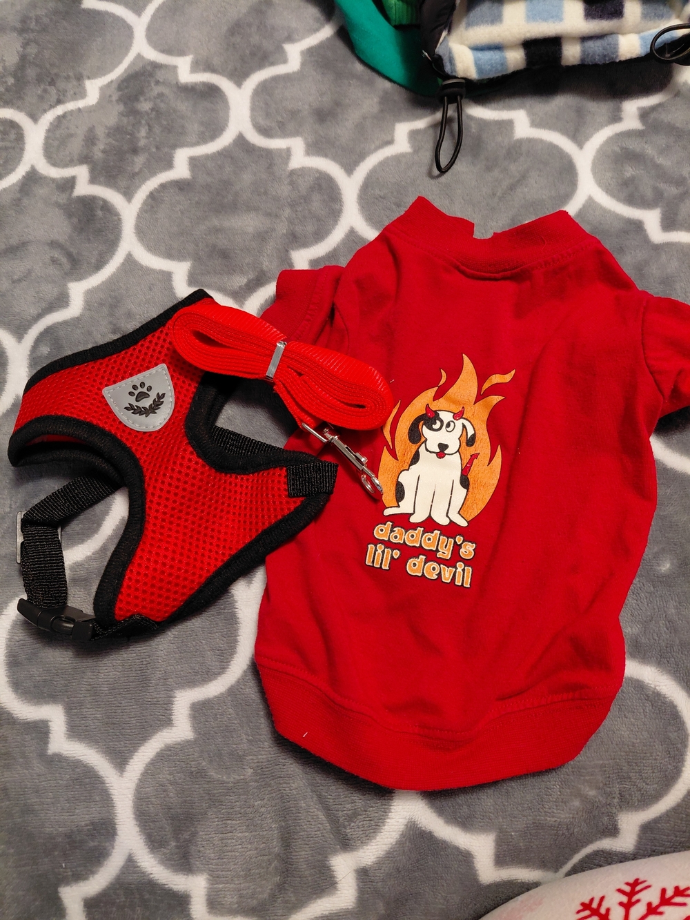 Red Small Pet Harness & 'Daddy's Lil' Devil' Shirt Set - Red
